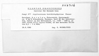Image Associated With the Occurrence